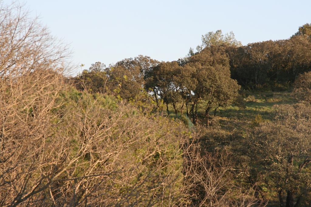 Le Bois Des Espeisses 2* Nimes